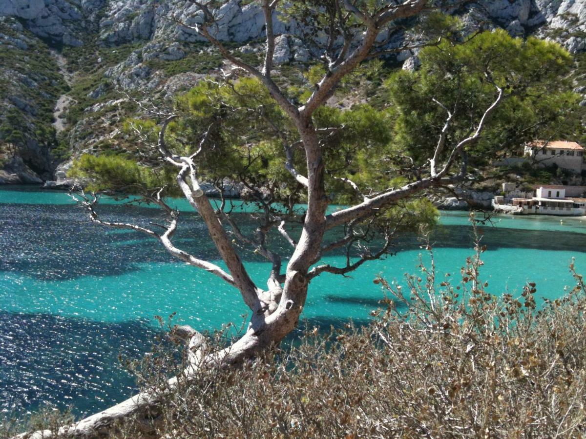 Home A La Mer La Ciotat Exterior foto